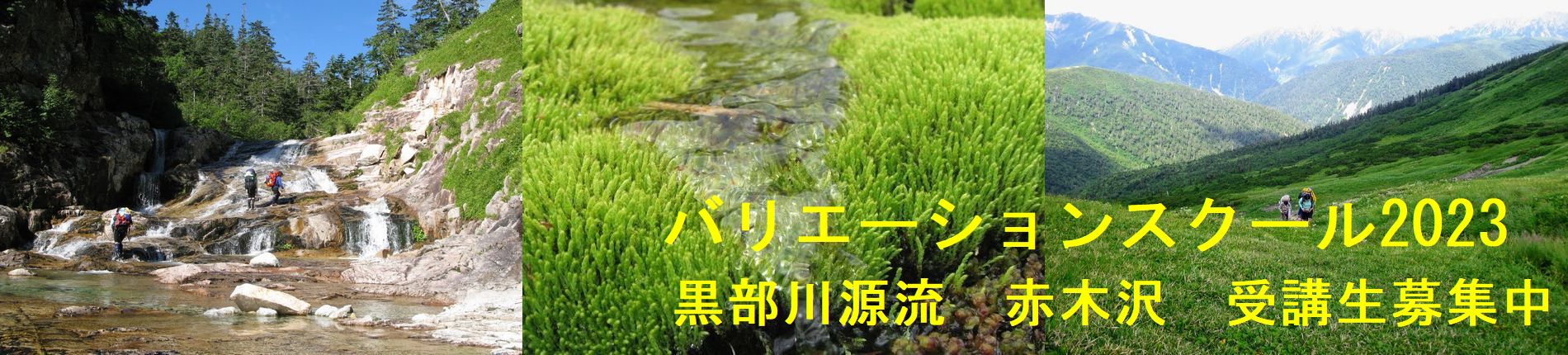 バリエーションスクール